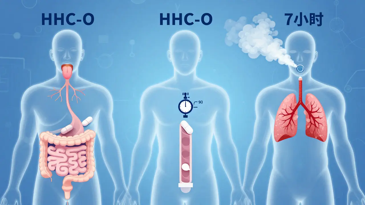 Drei Wege der HHC-O-Aufnahme: sublingual, oral und inhalativ, dargestellt als schematische Darstellung.