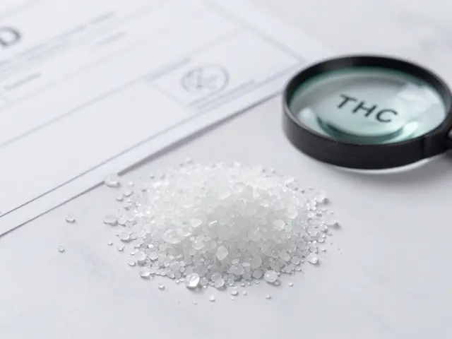 Ist CBD ein Rauschmittel? Die klare Antwort auf eine häufige Frage