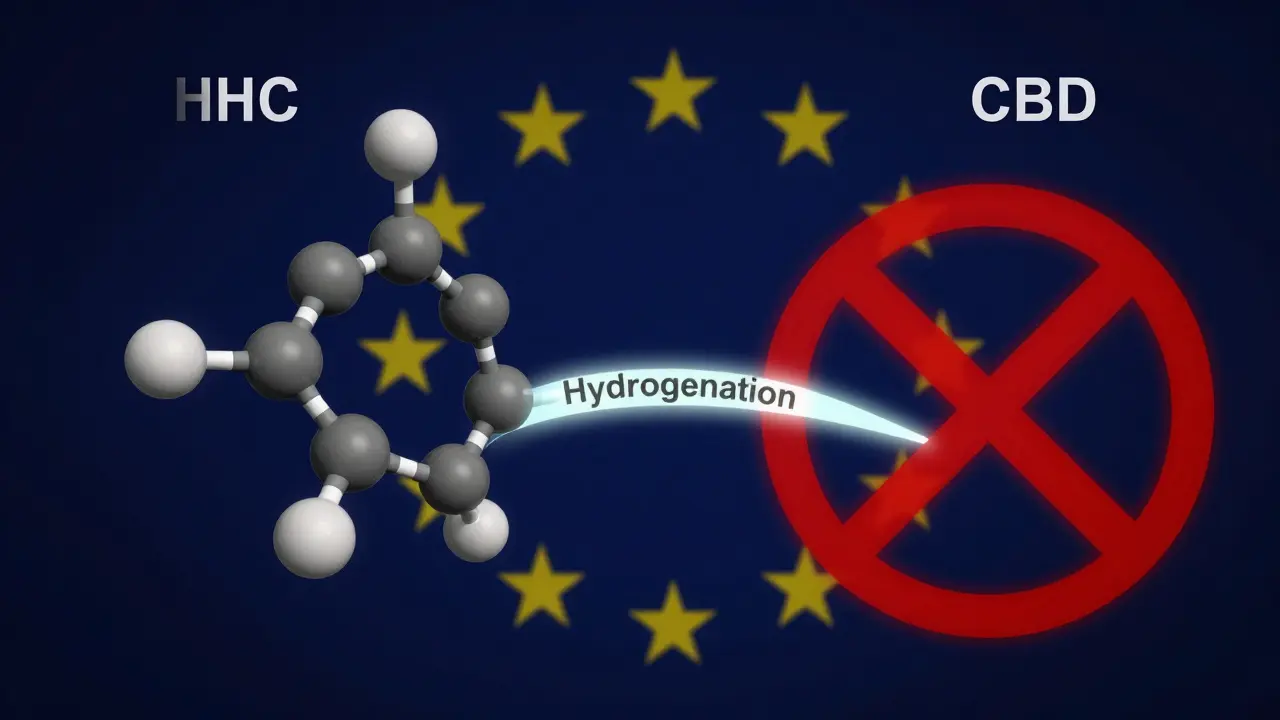 Moleküle von HHC, THC und CBD nebeneinander, mit einem chemischen Verbindungsstrich und einem EU-Verbotszeichen.