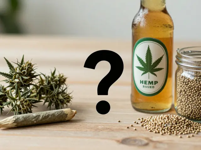 Cannabis-Konsum: Wie viele Joint raucht die durchschnittliche Person täglich? Fakten zu Cannabiskraut-Bier und Missverständnissen