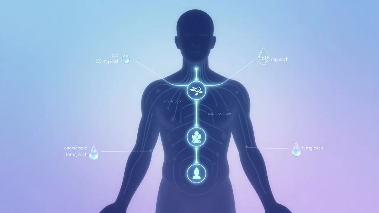 Abstrakte Darstellung des Endocannabinoid-Systems mit beruhigenden Wirkungssymbolen.