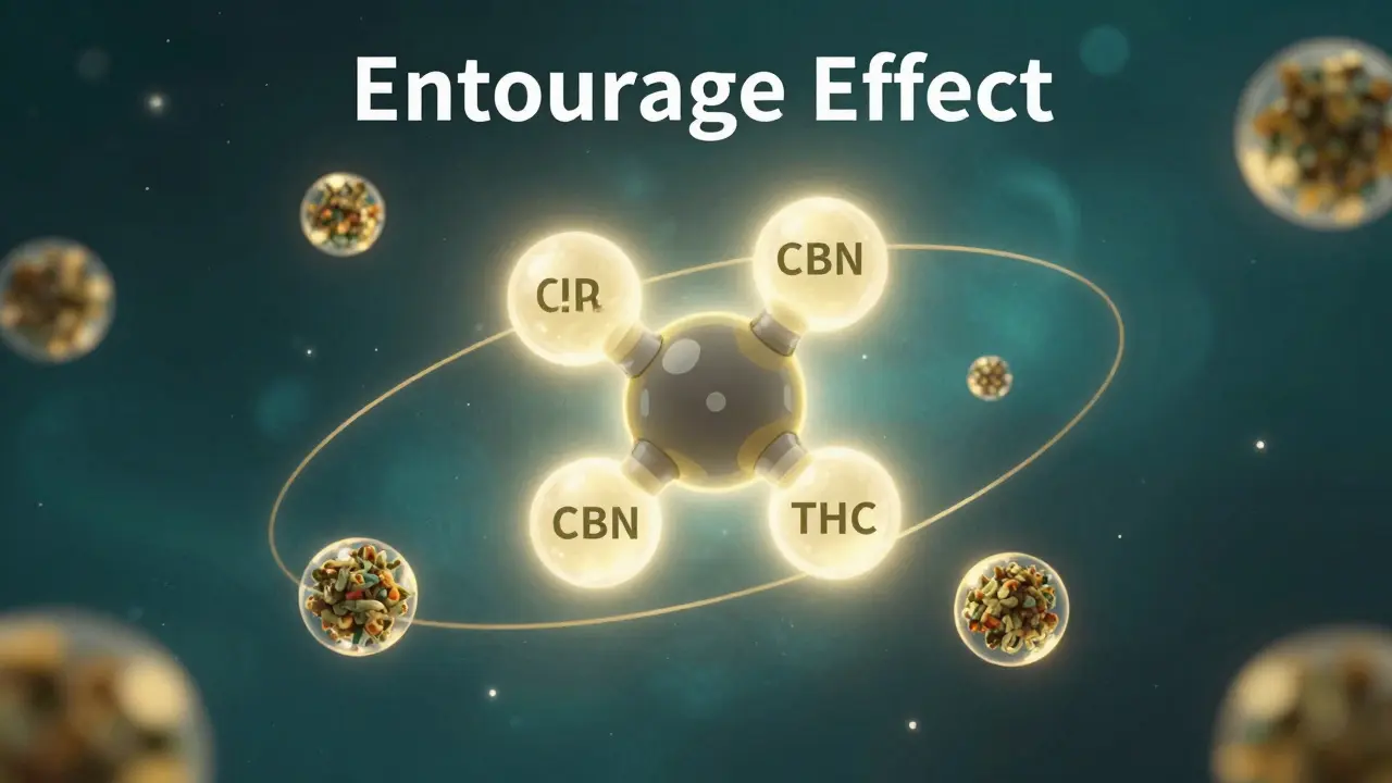 Künstlerische Darstellung des Entourage-Effekts von Cannabinoiden