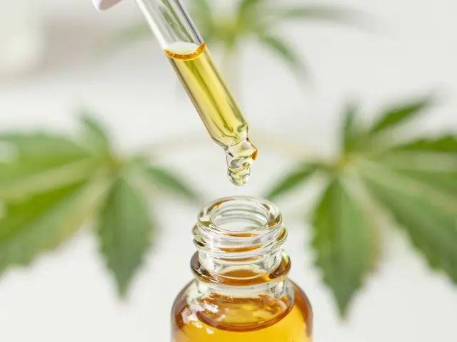 Welches CBD ist am stärksten und besten? Ein Guide für 2026