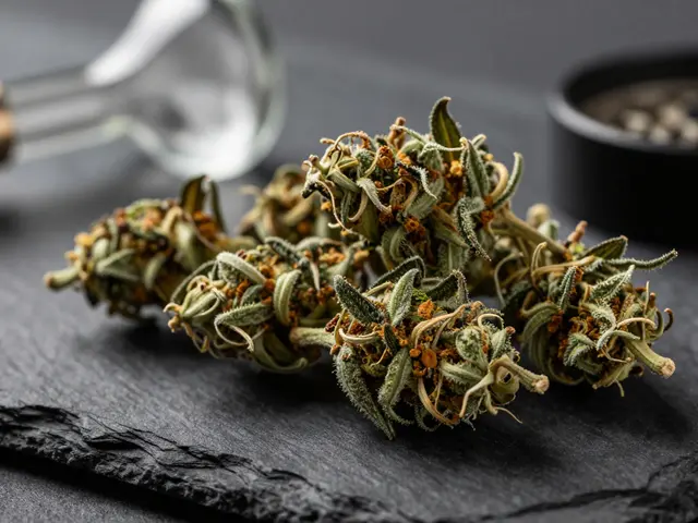 HHC-Blüten rauchen: So geht's sicher, legal und richtig