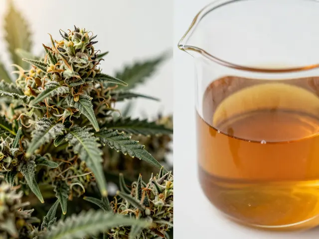 Dabs oder Flower: Was macht stärker high? Der direkte Vergleich