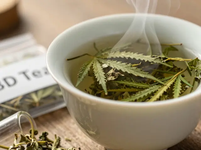 CBD-Blütentee rauchen? Risiken, Wirkung und die bessere Alternative